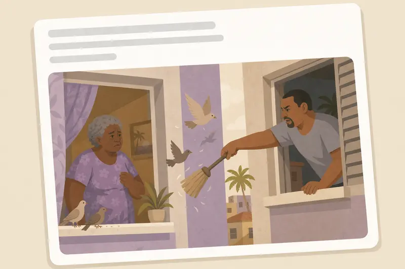 Cover illustration for AITJ for Scaring Away an Old Woman's Birds?, A0 Spanish story