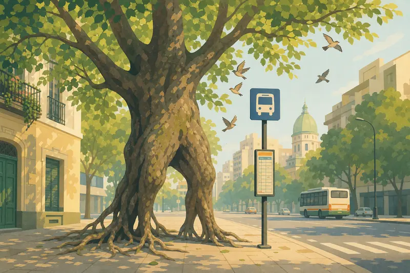 Cover illustration for The Trees at the Bus Stop, A2 Spanish story